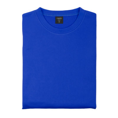 SWEATSHIRTS BASIC TECHNICAL HOODY blue