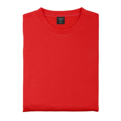 SWEATSHIRTS BASIC TECHNICAL HOODY red